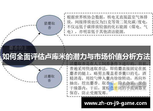 如何全面评估卢库米的潜力与市场价值分析方法