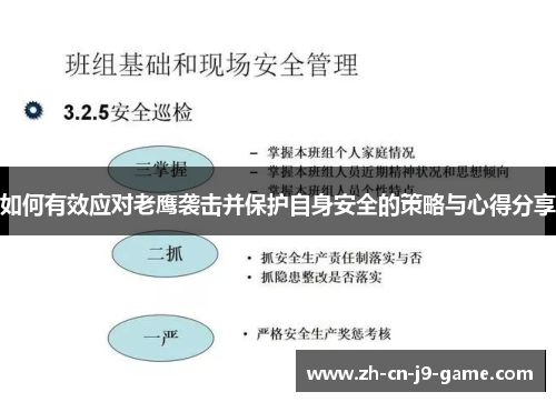 如何有效应对老鹰袭击并保护自身安全的策略与心得分享