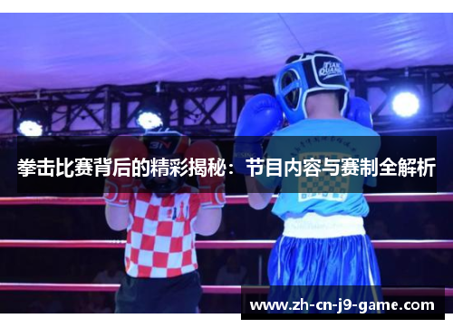 拳击比赛背后的精彩揭秘：节目内容与赛制全解析