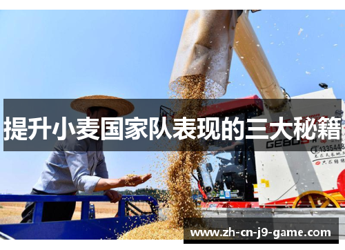 提升小麦国家队表现的三大秘籍