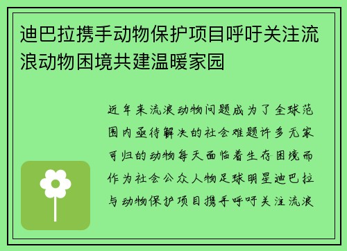 迪巴拉携手动物保护项目呼吁关注流浪动物困境共建温暖家园